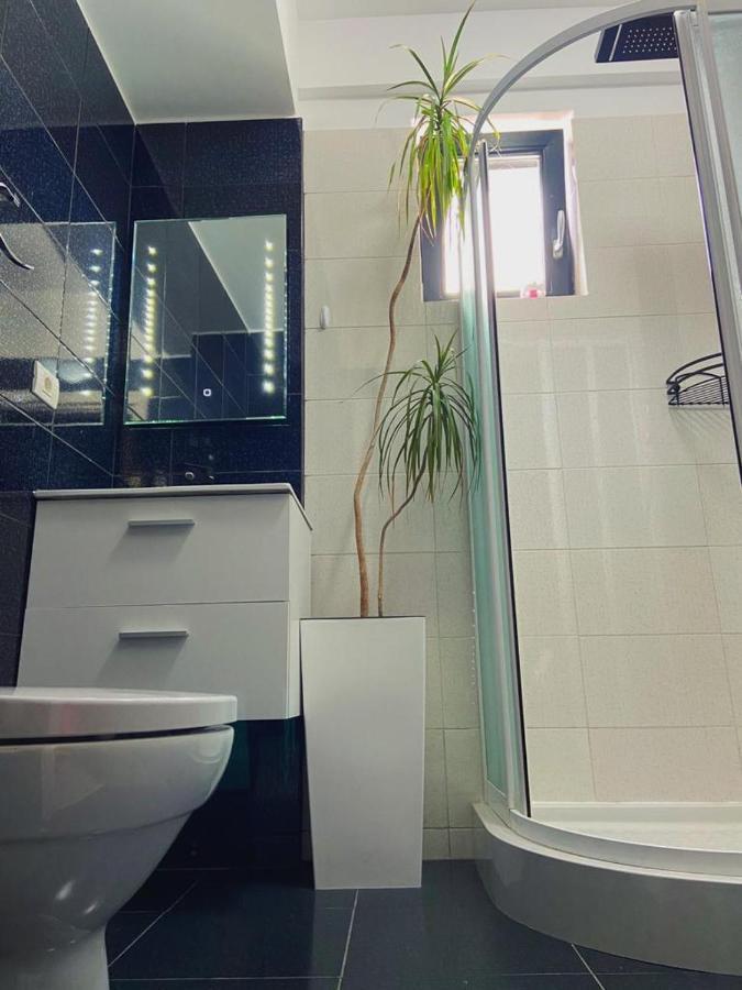 Peacock Apartament- Stefan Building Leilighet Năvodari Eksteriør bilde